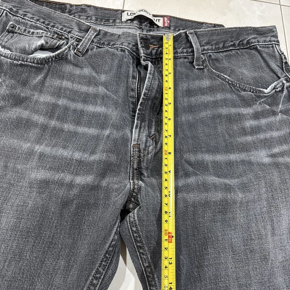 Levis levis 527
